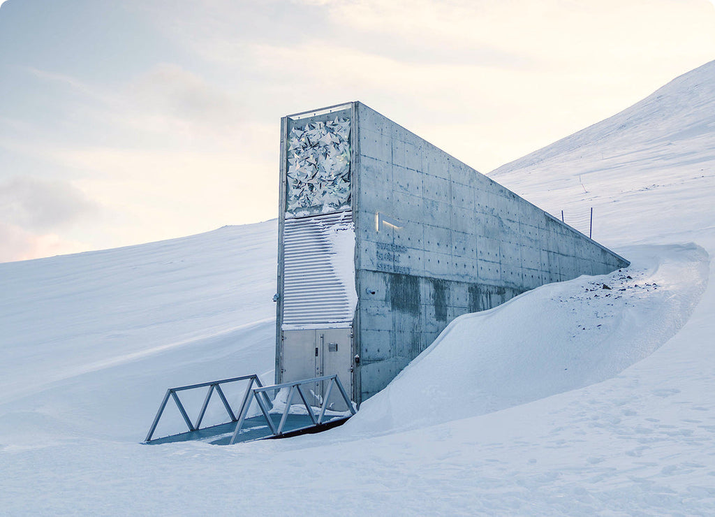 Dommedagshvelvet som beskytter vår fremtid - Svalbard globale frøhvelv
